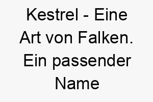 kestrel eine art von falken ein passender name fuer einen schnellen und agilen hund 21161