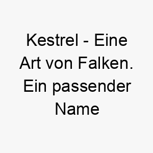 kestrel eine art von falken ein passender name fuer einen schnellen und agilen hund 21161