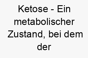 ketose ein metabolischer zustand bei dem der koerper fette zur energiegewinnung verbrennt ein interessanter name fuer einen aktiven energiegeladenen hund 21280