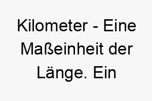 kilometer eine masseinheit der laenge ein lustiger name fuer einen hund der gerne laeuft oder viel energie hat 21226