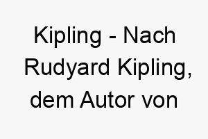 kipling nach rudyard kipling dem autor von das dschungelbuch ein literarischer name fuer einen hund der gerne geschichten hoert 21144