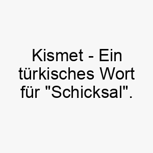 kismet ein tuerkisches wort fuer schicksal ein tiefgruendiger name fuer einen hund der scheinbar vom schicksal in ihr leben gebracht wurde 21149