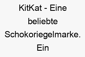 kitkat eine beliebte schokoriegelmarke ein suesser name fuer einen liebenswerten hund 21145