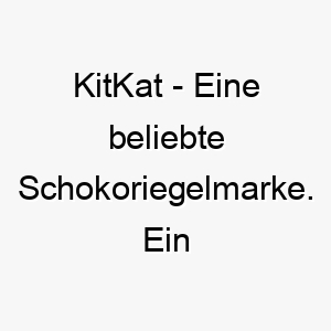 kitkat eine beliebte schokoriegelmarke ein suesser name fuer einen liebenswerten hund 21145