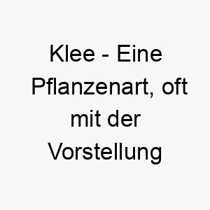 klee eine pflanzenart oft mit der vorstellung von glueck assoziiert ein gluecklicher name fuer einen gluecklichen hund 21197