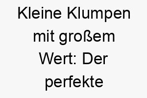 kleine klumpen mit grossem wert der perfekte name fuer einen wertvollen hund namens nugget 23236