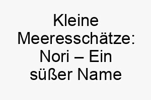 kleine meeresschaetze nori ein suesser name fuer einen wasserliebenden vierbeiner 23192