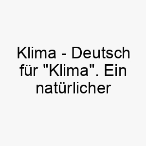 klima deutsch fuer klima ein natuerlicher name fuer einen hund der die natur liebt 21191