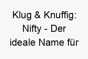 klug knuffig nifty der ideale name fuer smarte und stylishe hunde 23168