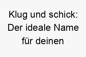 klug und schick der ideale name fuer deinen cleveren gut aussehenden hund nifty 23183