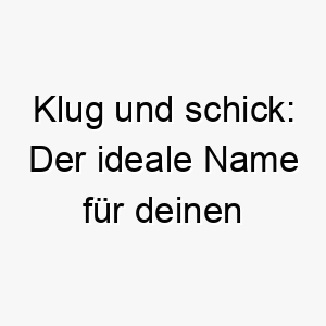 klug und schick der ideale name fuer deinen cleveren gut aussehenden hund nifty 23183