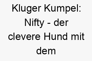 kluger kumpel nifty der clevere hund mit dem pfiffigen namen 23223