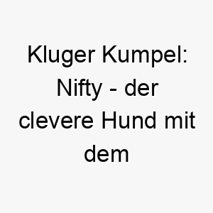 kluger kumpel nifty der clevere hund mit dem pfiffigen namen 23223