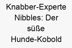 knabber experte nibbles der suesse hunde kobold mit biss 23178