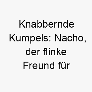 knabbernde kumpels nacho der flinke freund fuer froehliche fellnasen 23147