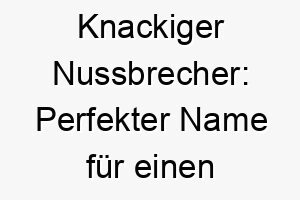 knackiger nussbrecher perfekter name fuer einen quirligen vierbeiner 23170