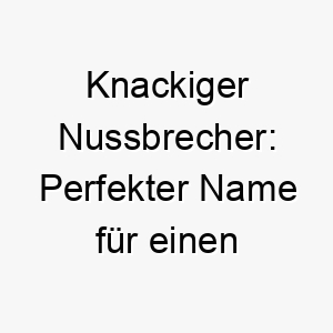 knackiger nussbrecher perfekter name fuer einen quirligen vierbeiner 23170