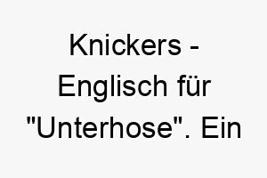 knickers englisch fuer unterhose ein humorvoller und bezaubernder name fuer einen hund 21143