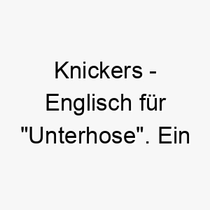 knickers englisch fuer unterhose ein humorvoller und bezaubernder name fuer einen hund 21143