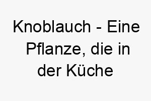 knoblauch eine pflanze die in der kueche haeufig als gewuerz verwendet wird ein lustiger name fuer einen hund der gerne isst oder in der kueche ist 21189