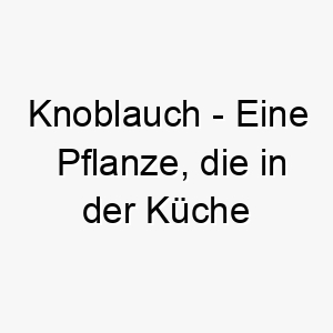 knoblauch eine pflanze die in der kueche haeufig als gewuerz verwendet wird ein lustiger name fuer einen hund der gerne isst oder in der kueche ist 21189