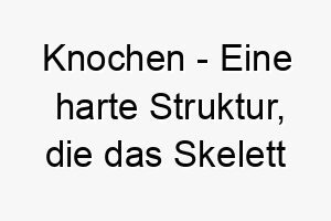 knochen eine harte struktur die das skelett von wirbeltieren bildet ein lustiger und klassischer name fuer einen hund der knochen liebt 21213