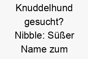 knuddelhund gesucht nibble suesser name zum knabbern 23288