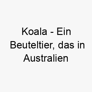 koala ein beuteltier das in australien heimisch ist ein suesser und kuscheliger name fuer einen hund 21314