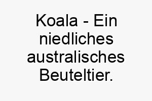 koala ein niedliches australisches beuteltier ein liebevoller name fuer einen kuscheligen hund 21148