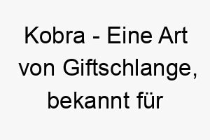 kobra eine art von giftschlange bekannt fuer ihre faehigkeit ihren nacken zu spreizen ein starker und beeindruckender name fuer einen hund 21287