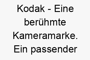 kodak eine beruehmte kameramarke ein passender name fuer einen hund der gerne fotografiert wird oder der eine besondere verbindung zur fotografie hat 21151