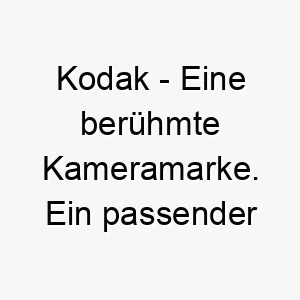 kodak eine beruehmte kameramarke ein passender name fuer einen hund der gerne fotografiert wird oder der eine besondere verbindung zur fotografie hat 21151