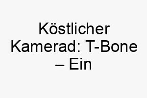 koestlicher kamerad t bone ein inspirierender hund mit appetit 26253