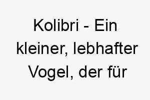 kolibri ein kleiner lebhafter vogel der fuer seine schnellen fluegelbewegungen und seinen langen schnabel bekannt ist ein passender name fuer einen kleinen energischen hund 21298