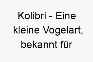 kolibri eine kleine vogelart bekannt fuer ihren schnellen fluegelschlag ein suesser und schneller name fuer einen kleinen hund 21211