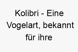 kolibri eine vogelart bekannt fuer ihre schnellen fluegelbewegungen und schoenen farben ein farbenfroher und energiegeladener name fuer einen kleinen schnellen hund 21257