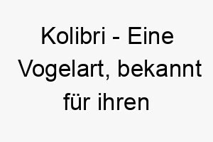 kolibri eine vogelart bekannt fuer ihren schnellen fluegelschlag ein niedlicher name fuer einen kleinen schnellen hund 21182