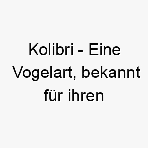 kolibri eine vogelart bekannt fuer ihren schnellen fluegelschlag ein niedlicher name fuer einen kleinen schnellen hund 21182