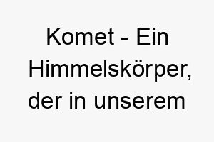 komet ein himmelskoerper der in unserem sonnensystem um die sonne kreist und einen leuchtenden schweif hinterlaesst ein funkelnder und himmlischer name fuer einen hund 21325