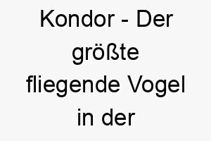 kondor der groesste fliegende vogel in der westlichen hemisphaere ein maechtiger und majestaetischer name fuer einen grossen hund 21291