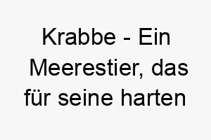 krabbe ein meerestier das fuer seine harten schalen und krallen bekannt ist ein lustiger name fuer einen hund der gerne am strand ist oder wasser liebt 21221