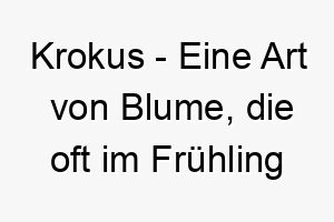 krokus eine art von blume die oft im fruehling blueht ein schoener name fuer einen hund der im fruehling geboren wurde oder der sie an den fruehling erinnert 21188