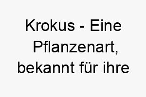 krokus eine pflanzenart bekannt fuer ihre schoenen blumen die oft im fruehjahr bluehen ein huebscher name fuer einen hund der den fruehling oder die natur liebt 21276