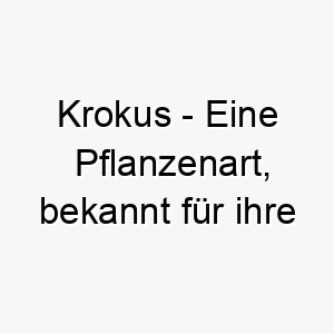 krokus eine pflanzenart bekannt fuer ihre schoenen blumen die oft im fruehjahr bluehen ein huebscher name fuer einen hund der den fruehling oder die natur liebt 21276