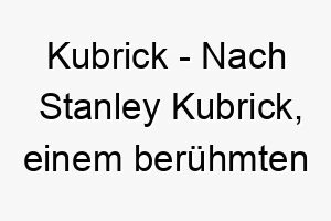 kubrick nach stanley kubrick einem beruehmten filmregisseur ein kuenstlerischer name fuer einen hund der das kino liebt 21195