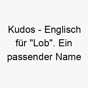 kudos englisch fuer lob ein passender name fuer einen hund der immer gut gemacht hat 21170