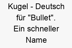 kugel deutsch fuer bullet ein schneller name fuer einen schnellen hund 21217