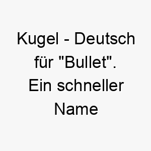 kugel deutsch fuer bullet ein schneller name fuer einen schnellen hund 21217