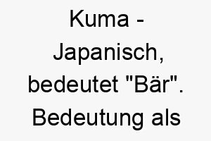 kuma japanisch bedeutet baer bedeutung als hundename fuer einen starken mutigen hund 15638