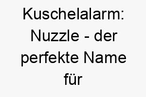 kuschelalarm nuzzle der perfekte name fuer deinen liebenswerten vierbeiner 23112